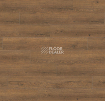 Ламинат Haro Tritty 100 Gran Via 4V Дуб Флавия Дымчатый 544729 фото 1 | FLOORDEALER