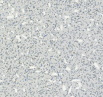 Линолеум Grabo EcoSafe 1204_663_20_279 фото 1 | FLOORDEALER