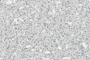 Линолеум Grabo EcoSafe 1204_663_20_279 фото  | FLOORDEALER