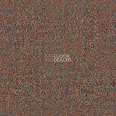 Ковровая плитка Shaw Momentum 02715 фото 1 | FLOORDEALER