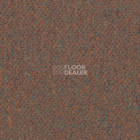 Ковровая плитка Shaw Momentum 02715 фото 1 | FLOORDEALER