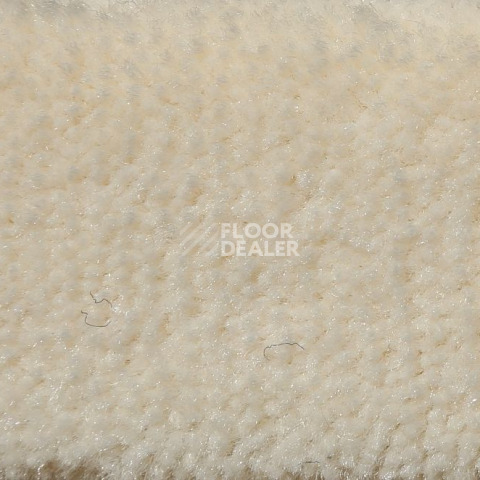 Ковролин Big Caresse 030 фото 1 | FLOORDEALER