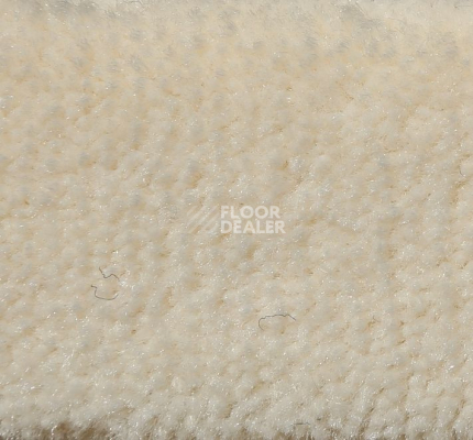 Ковролин Big Caresse 030 фото 1 | FLOORDEALER