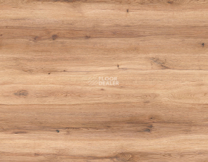 Kronotex Robusto 12мм d80652 Дуб Либия Натуральная фото 3 | FLOORDEALER