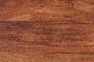 Линолеум Novoflor Standard 4800_3 фото  | FLOORDEALER