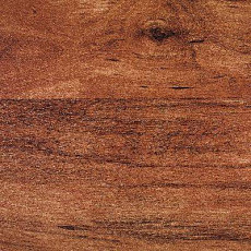 Линолеум Novoflor Standard 4800_3 фото 1 | FLOORDEALER