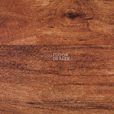 Линолеум Novoflor Standard 4800_3 фото 1 | FLOORDEALER