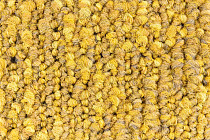 Desso Recharge ac 41 6218 фото 6 | FLOORDEALER