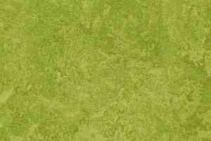 Линолеум Forbo Marmoleum Decibel 324735 фото  | FLOORDEALER