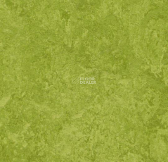 Forbo Marmoleum Decibel 324735 фото 1 | FLOORDEALER