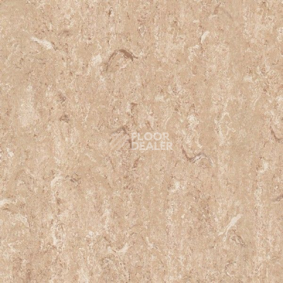 Линолеум Gerflor Marmorette DLW 2.5mm 121-146 фото 1 | FLOORDEALER