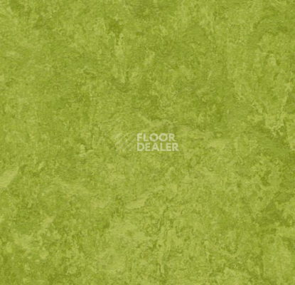 Линолеум Forbo Marmoleum Decibel 324735 фото 1 | FLOORDEALER