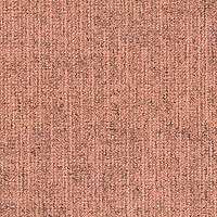 Ковровая плитка Canvas Canvas 220 фото 1 | FLOORDEALER