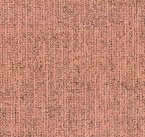 Ковровая плитка Canvas Canvas 220 фото 1 | FLOORDEALER