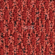 Ковролин Balsan Nomade Nomade 580 фото 1 | FLOORDEALER