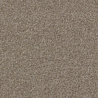 Ковровая плитка AW Maxima 37 фото 1 | FLOORDEALER