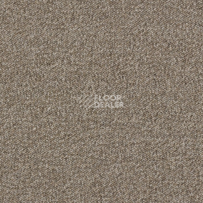 Ковровая плитка AW Maxima 37 фото 1 | FLOORDEALER