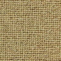 Ковролин Edel Centre Point 121 фото 1 | FLOORDEALER