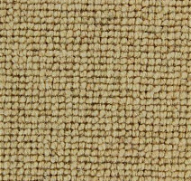 Ковролин Edel Centre Point 121 фото 1 | FLOORDEALER