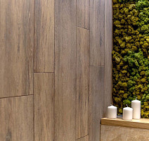 Brigantina Керамогранит 19,4x120x10 bg 01 19,4x120x10 Непол.Рект. (Керамический гранит) фото 9 | FLOORDEALER