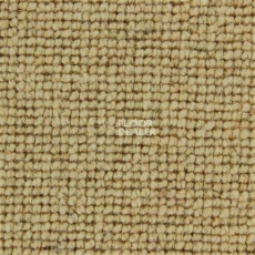 Ковролин Edel Centre Point 121 фото 1 | FLOORDEALER