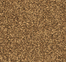 Ковролин Balsan First Class 370 фото 1 | FLOORDEALER