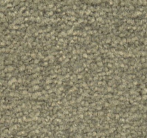 Ковролин Emphatic Beaulieu of America 56341 фото 1 | FLOORDEALER