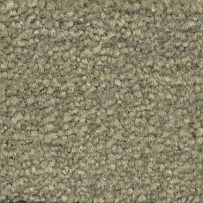 Emphatic Beaulieu of America 56341 фото 1 | FLOORDEALER