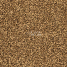 Ковролин Balsan First Class 370 фото 1 | FLOORDEALER