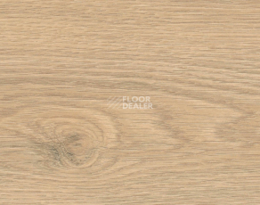Ламинат Haro Tritty 100 4V Дуб Флавия Пуро 544711 фото 1 | FLOORDEALER