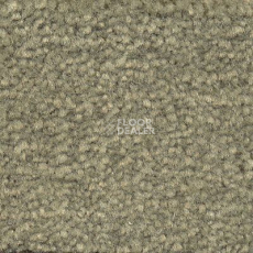 Ковролин Emphatic Beaulieu of America 56341 фото 1 | FLOORDEALER