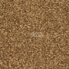 Ковролин Balsan First Class 370 фото 1 | FLOORDEALER