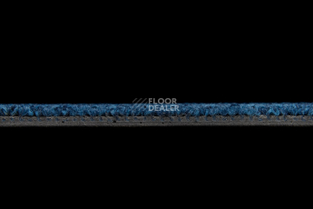 Standard Carpets Spectrum sm 556 фото 4 | FLOORDEALER