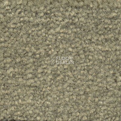 Ковролин Emphatic Beaulieu of America 56341 фото 1 | FLOORDEALER