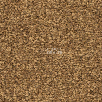 Ковролин Balsan First Class 370 фото 1 | FLOORDEALER