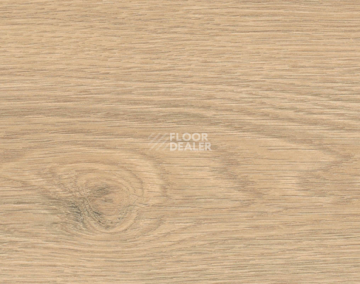 Ламинат Haro Tritty 100 4V Дуб Флавия Пуро 544711 фото 1 | FLOORDEALER