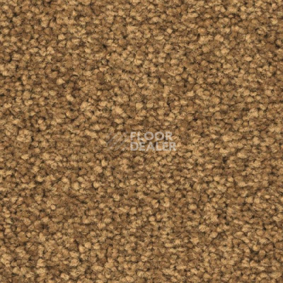 Ковролин Balsan First Class 370 фото 1 | FLOORDEALER