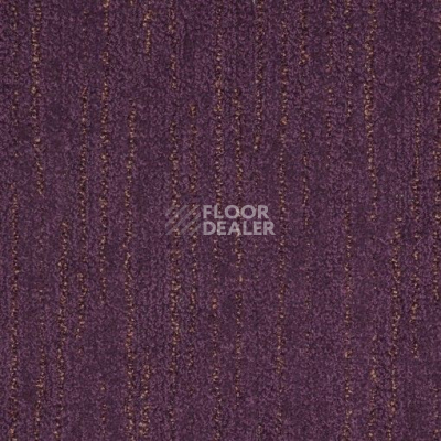 Ковролин Balta ITC Spontini New 85 фото 1 | FLOORDEALER