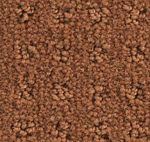 Ковролин Balsan Patio Patio 450 фото 1 | FLOORDEALER