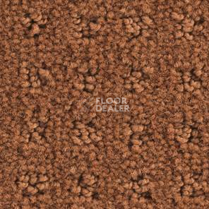 Ковролин Balsan Patio Patio 450 фото 1 | FLOORDEALER