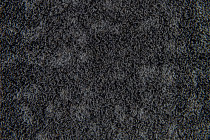 Flotex Colour Metro 5050 t 546006 Metro Grey фото 3 | FLOORDEALER