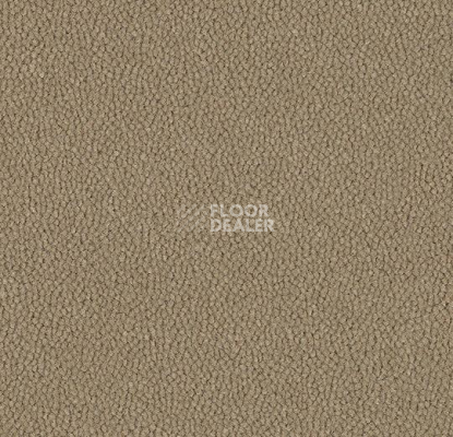 Ковровая плитка Westbond Ibond Natural 9842 фото 1 | FLOORDEALER