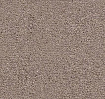 Ковролин Balsan Les Greens Confort+ 758 фото 1 | FLOORDEALER