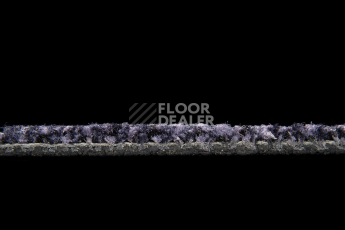 Balsan Take a Walk 880 Take a Walk фото 5 | FLOORDEALER