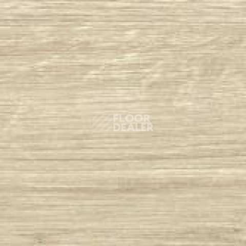 Керамогранит Jungla 19.5X120 Abeto фото 1 | FLOORDEALER