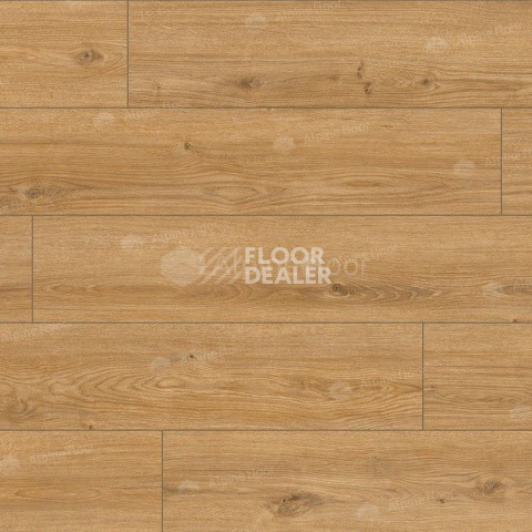 Classen Arteo 8 M 62752 Дуб Хамра фото 2 | FLOORDEALER