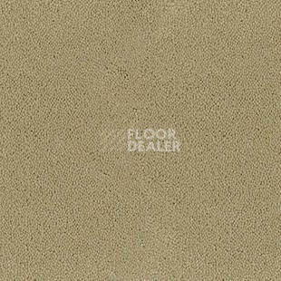 Ковролин Desso Asteranne 2927 фото 1 | FLOORDEALER