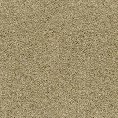 Ковролин Desso Asteranne 2927 фото 1 | FLOORDEALER