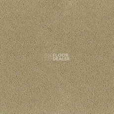 Ковролин Desso Asteranne 2927 фото 1 | FLOORDEALER