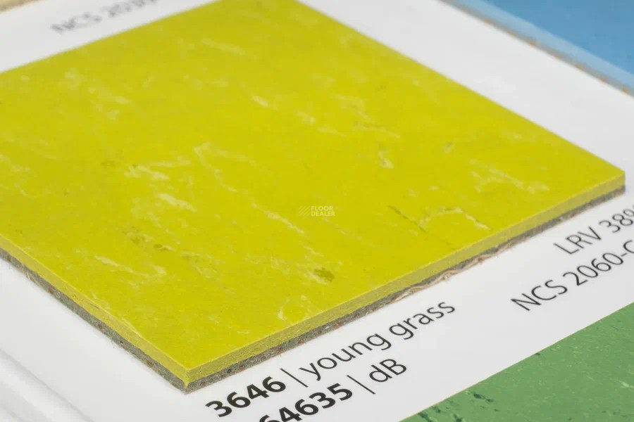 Forbo Marmoleum Solid Piano 3646-364635 young grass фото 3 | FLOORDEALER